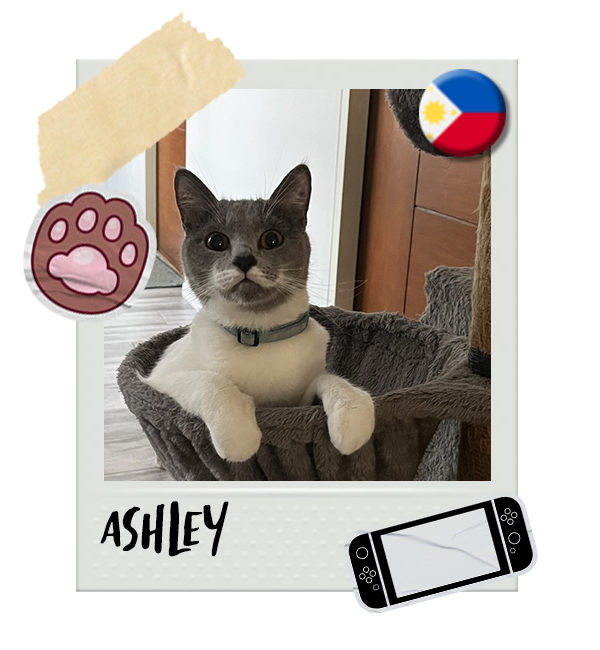 Cat-Global_Ashley.png__PID:68ec0873-8e81-4a68-8d57-b461dd18ca3f