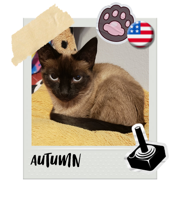 Cat-Global_Autumn.png__PID:ae4758a2-b419-4008-91bc-6f9f2a7f4adf