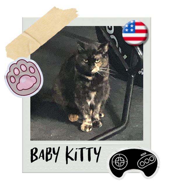 Cat-Global_Baby-Kitty.png__PID:8340002b-decf-4f98-b44a-cb47f1063400