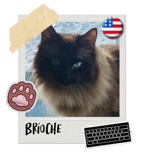 Cat-Global_Brioche.png__PID:bfbbd419-ae47-48a2-b419-300811bc6f9f
