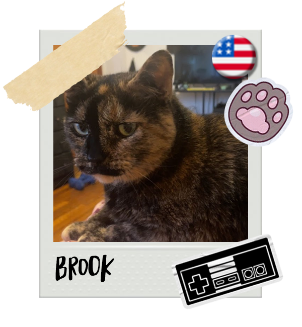 Cat-Global_Brook.png__PID:a6604069-f4e7-4748-a3bf-467836f6503b