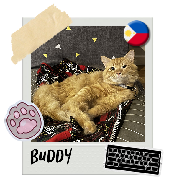 Cat-Global_Buddy.png__PID:08738e81-3a68-4d57-b461-dd18ca3f9c57