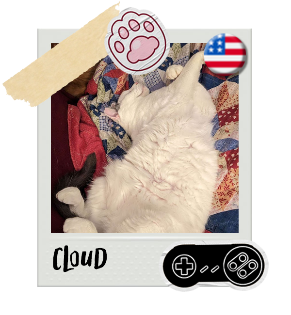 Cat-Global_Cloud.png__PID:1fbd6741-0329-4e1d-bfa4-f4b6a715e880