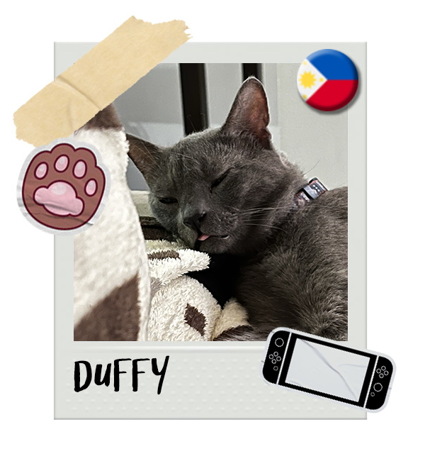 Cat-Global_Duffy.png__PID:738e813a-684d-47b4-a1dd-18ca3f9c57d6