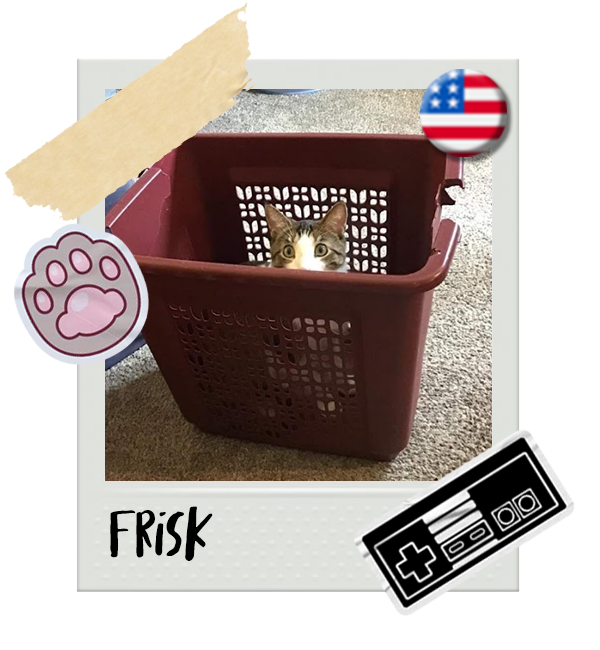 Cat-Global_Frisk.png__PID:780482ce-46a0-4504-9160-fd4815055daa