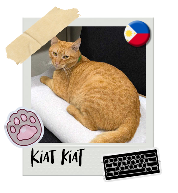Cat-Global_KiatKiat.png__PID:f8c1c257-2661-4f70-865d-6c504ff42bd0