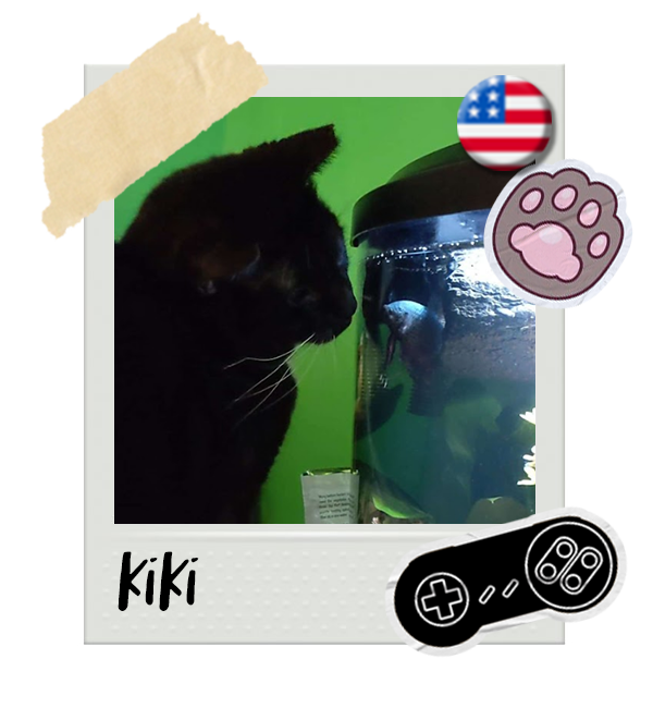Cat-Global_Kiki.png__PID:67410329-ae1d-4fa4-b4b6-a715e8804be7