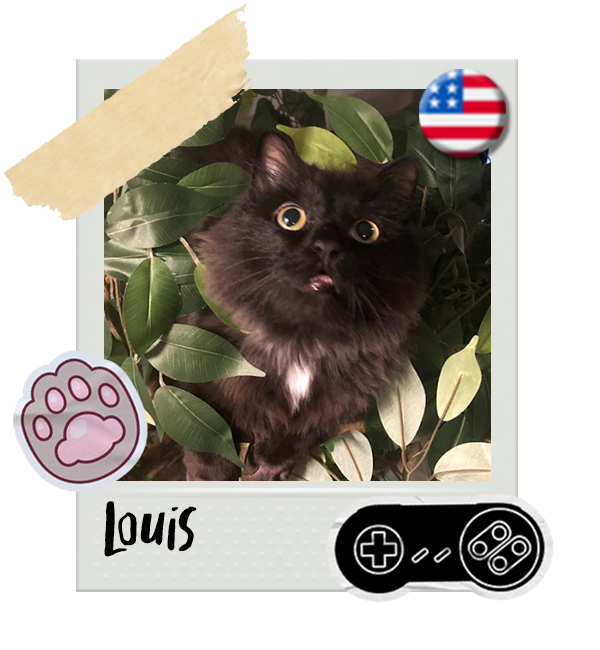 Cat-Global_Louis.png__PID:aca64576-431d-4ff0-bfdd-ee19b238477b