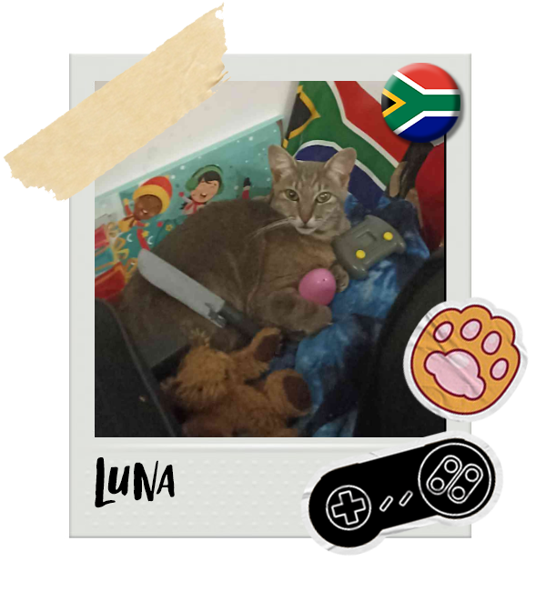 Cat-Global_Luna (SA).png__PID:d419ae47-58a2-4419-b008-11bc6f9f2a7f