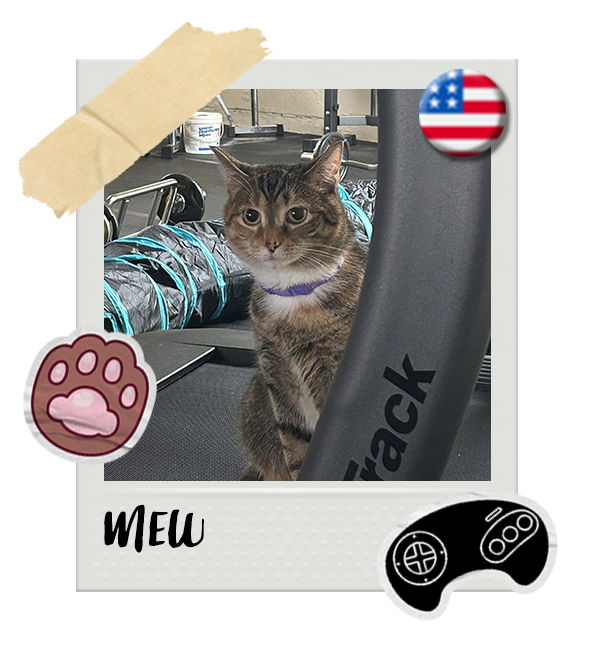 Cat-Global_Mew.png__PID:002bdecf-1f98-444a-8b47-f10634005ce7