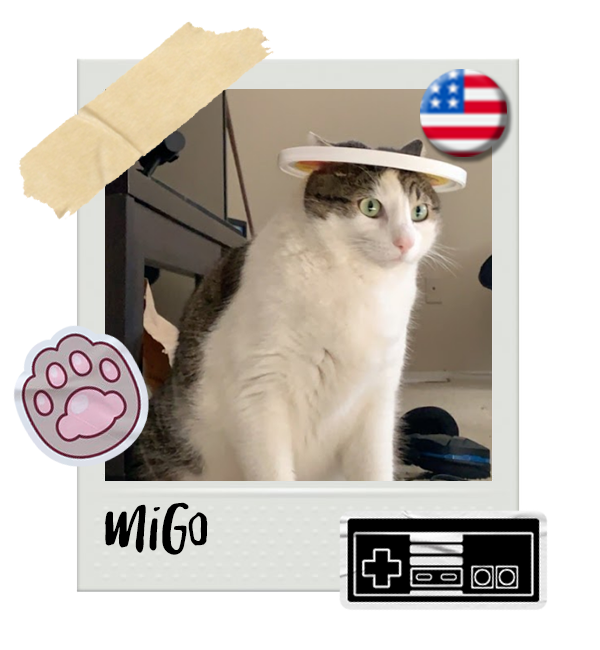 Cat-Global_Migo.png__PID:d3cfb29e-a2e4-4a83-959f-726c0501352e