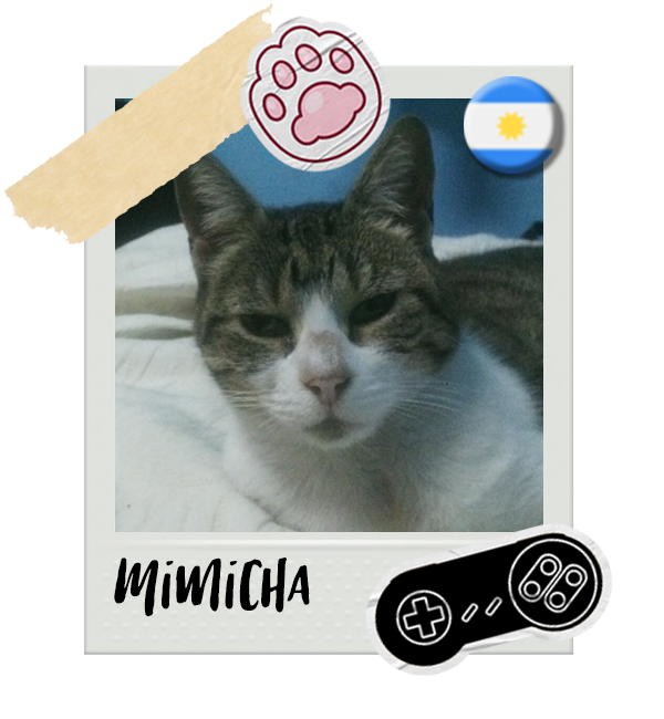 Cat-Global_Mimicha.png__PID:955caa72-af4e-4e29-825c-456b33530bb7