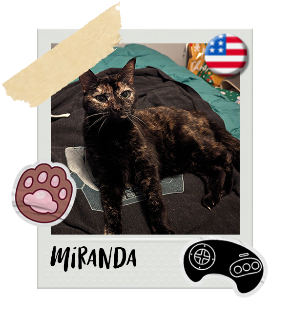 Cat-Global_Miranda.png__PID:865fa3bc-3550-421b-816c-10d26eed4180