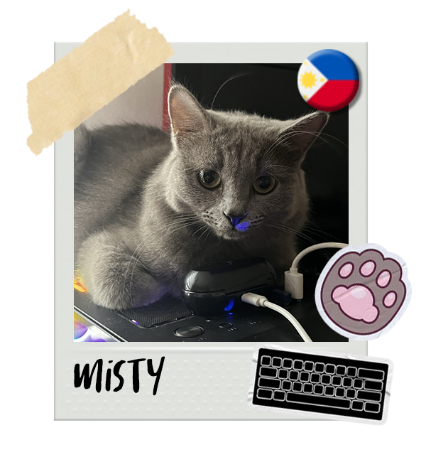 Cat-Global_Misty.png__PID:57b461dd-18ca-4f9c-97d6-2d83744bd913