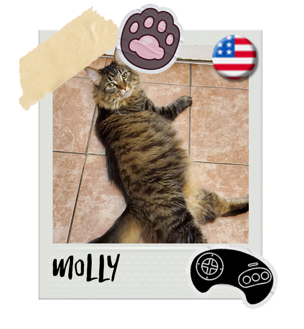 Cat-Global_Molly.png__PID:decf1f98-744a-4b47-b106-34005ce72e75