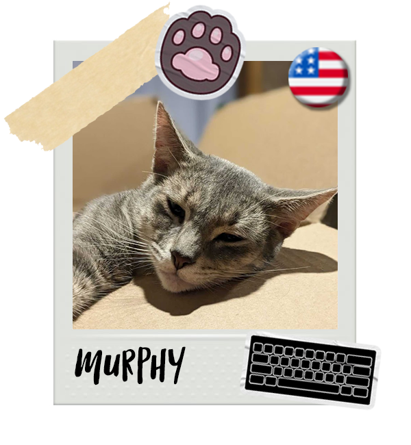 Cat-Global_Murphy.png__PID:096a88e5-2d1d-48ea-80fa-7051fe150b6a