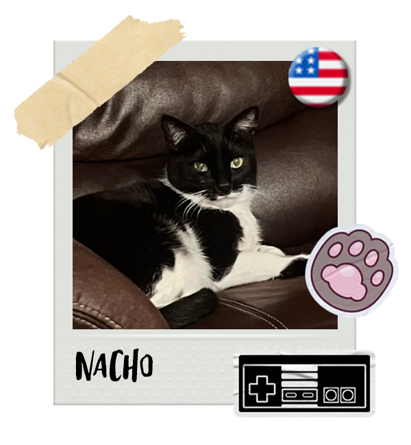 Cat-Global_Nacho.png__PID:812c0517-66ef-4f07-8e4c-db9c3bef5ff0