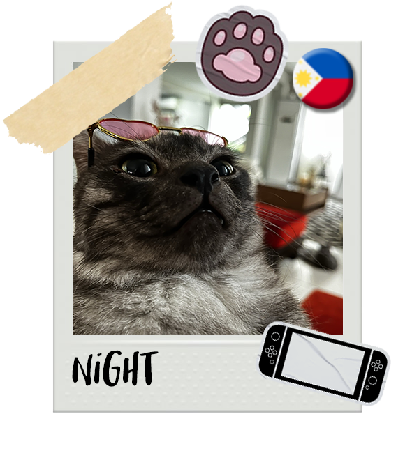 Cat-Global_Night.png__PID:b461dd18-ca3f-4c57-962d-83744bd913e6