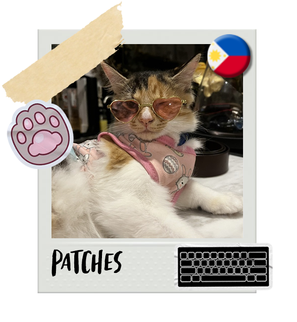 Cat-Global_Patches.png__PID:61dd18ca-3f9c-47d6-ad83-744bd913e61a