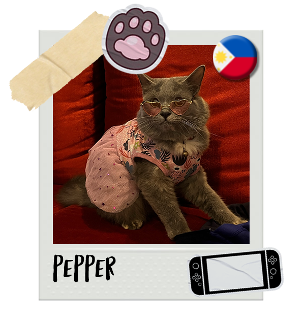 Cat-Global_Pepper.png__PID:dd18ca3f-9c57-462d-8374-4bd913e61a45