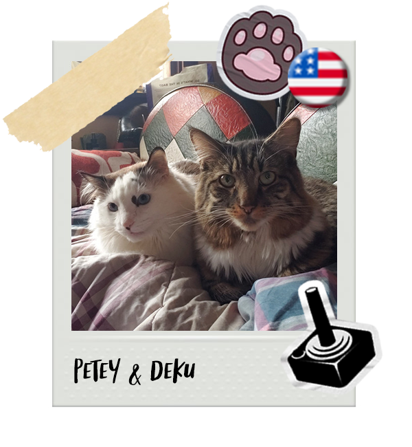 Cat-Global_Petey-Deku.png__PID:56cacc06-6a78-4ff9-b006-053ab08d6785