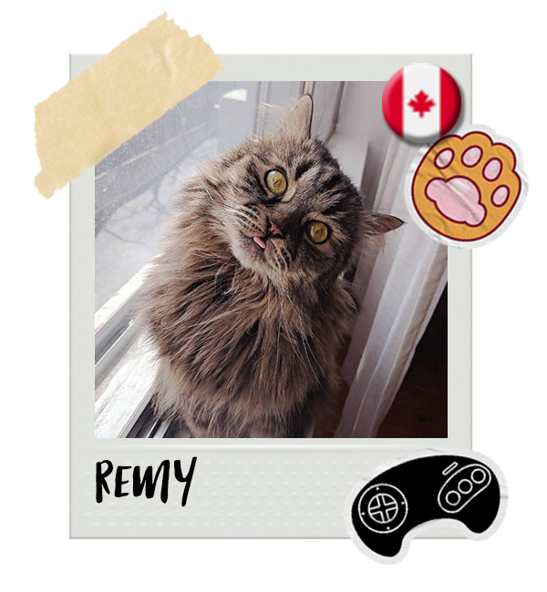 Cat-Global_Remy.png__PID:0e950f43-c5d0-4993-af6d-f6a52cf5b7ee
