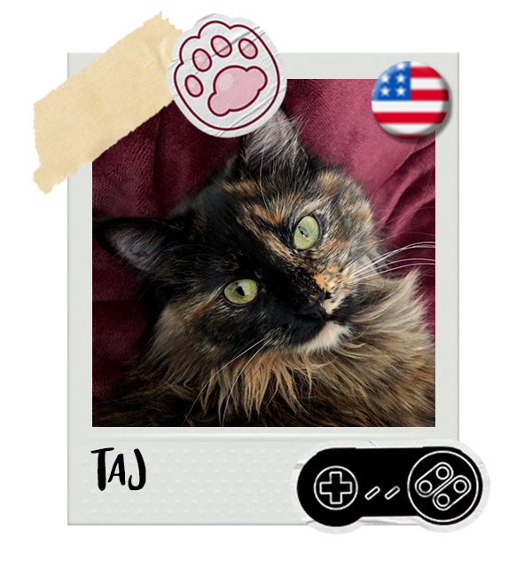 Cat-Global_Taj.png__PID:4576431d-eff0-4fdd-ae19-b238477b7c96