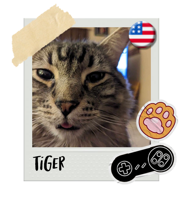 Cat-Global_Tiger.png__PID:bd674103-29ae-4d3f-a4f4-b6a715e8804b