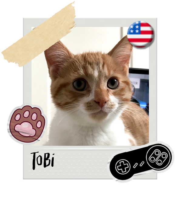 Cat-Global_Tobi.png__PID:a6457643-1def-40bf-9dee-19b238477b7c