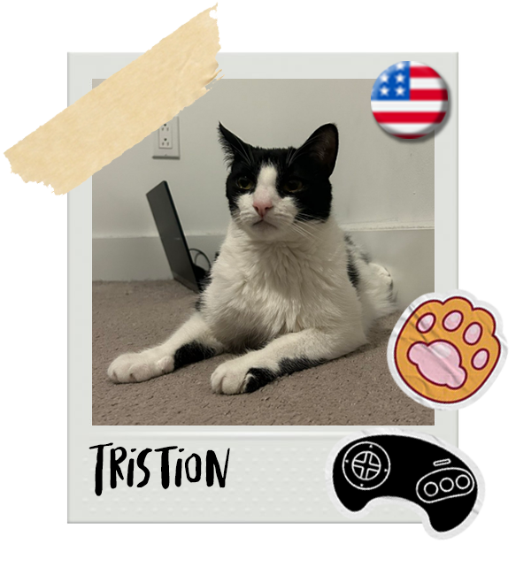 Cat-Global_Tristion.png__PID:f852ebc5-fd7b-4378-9278-23fb05e35f34