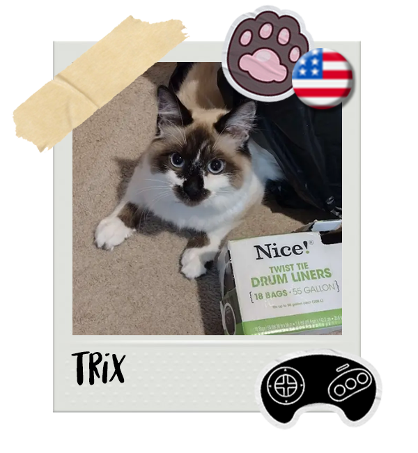Cat-Global_Trix.png__PID:7103ec1e-41b7-492c-8e61-9243889378ac