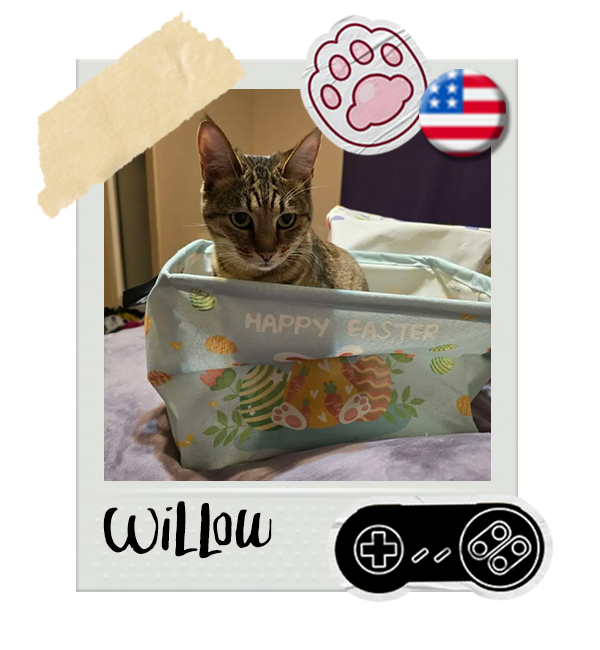 Cat-Global_Willow.png__PID:ec1e41b7-392c-4e61-9243-889378ac2ead